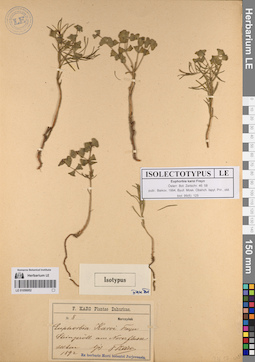 LE 01056952