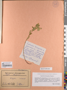LE 01056954