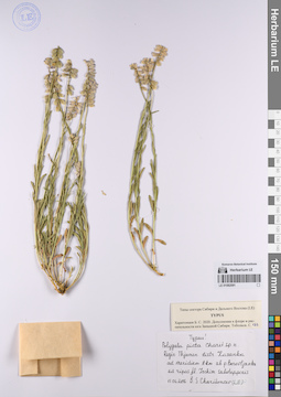 LE 01082091