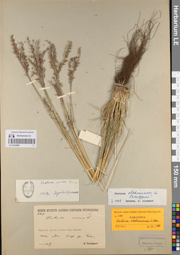 LE 01234629