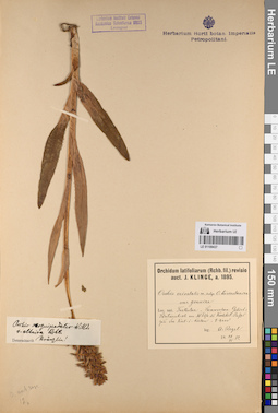 LE 01109437