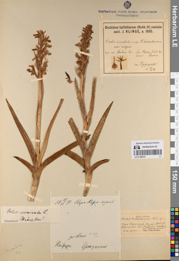 LE 01198375