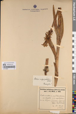 LE 01198383