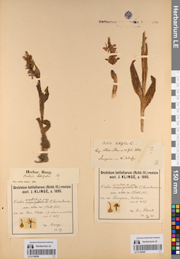 LE 01198385