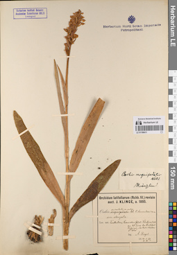 LE 01198411