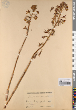 LE 01198443
