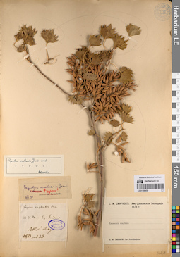 LE 01198450