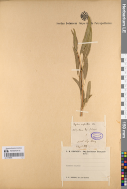 LE 01198454