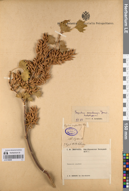 LE 01198459