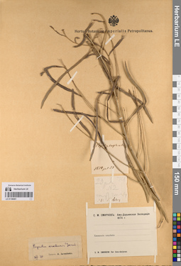 LE 01198461