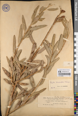 LE 01198598