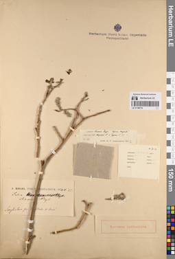 LE 01198716