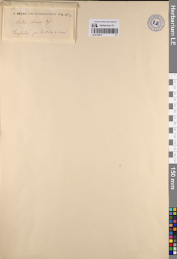 LE 01198717