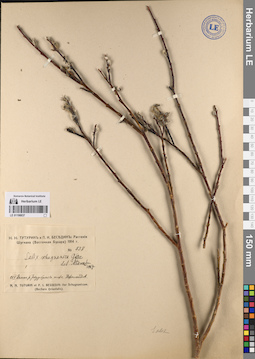 LE 01198837