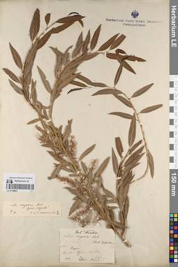 LE 01198881