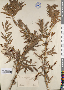 LE 01198886