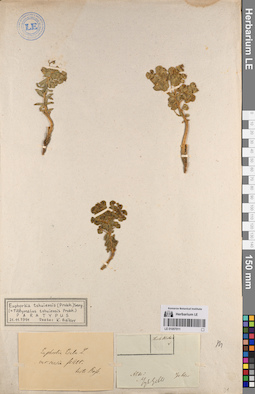 LE 01057011