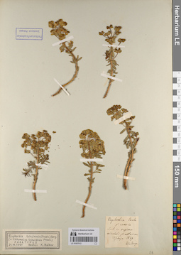 LE 01057012
