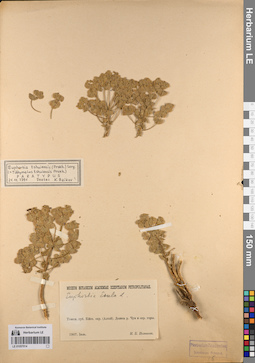 LE 01057014