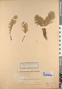 LE 01057016