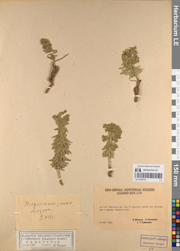 LE 01057019