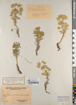 LE 01057020