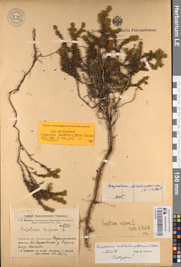 LE 01057392