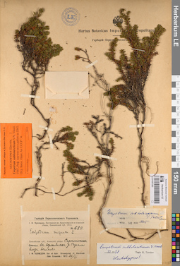 LE 01057393