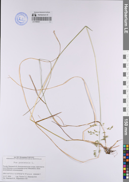 LE 01080421