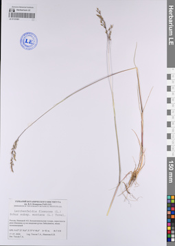 LE 01101881