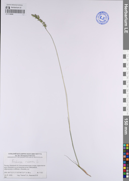LE 01106088