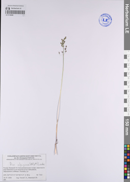 LE 01106089