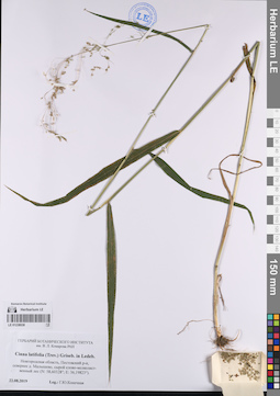 LE 01238038