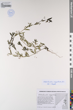 LE 01194317