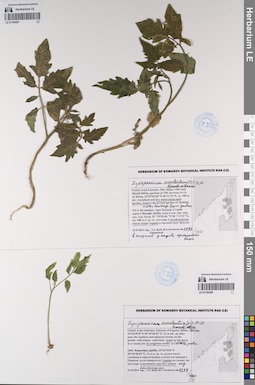 LE 01194399