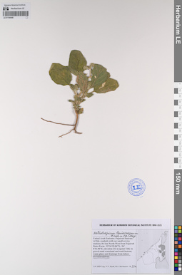 LE 01194440