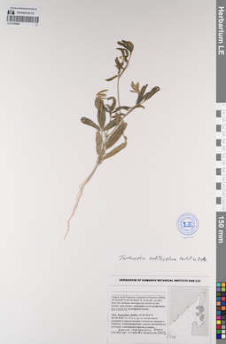 LE 01194462
