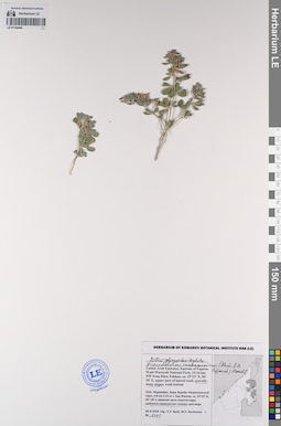 LE 01194469