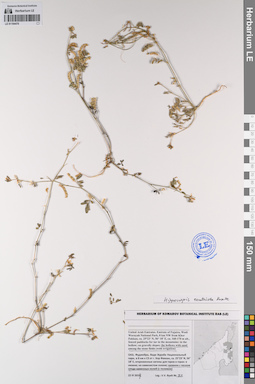 LE 01194470