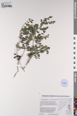 LE 01194477