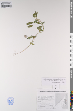 LE 01194478