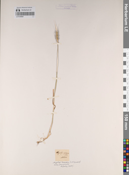 LE 01230520