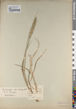 LE 01230524