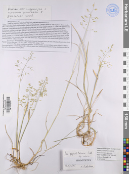 LE 01012761
