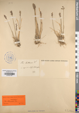 LE 01011187