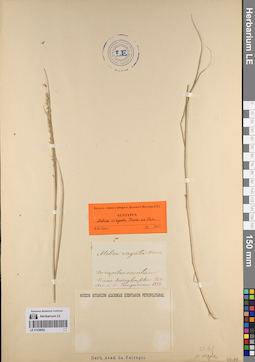 LE 01239052