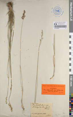 LE 01239102