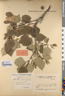 LE 01199014