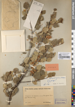 LE 01199027