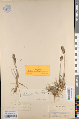 LE 01239128